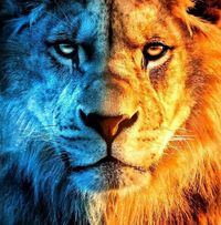 Luis Cisneros's profile image