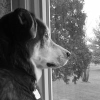 Lori Berens's profile image