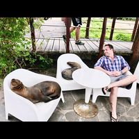 Steve Layne's profile image