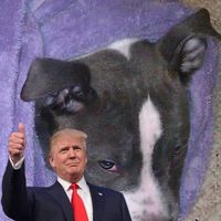 Anthony Auriemma's profile image