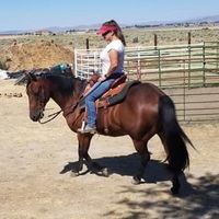 Stephanie Baloga Revert's profile image