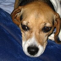 Chad Seligman's profile image