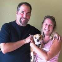 Susan McDonough Spagnola's profile image