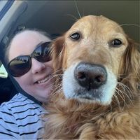 Meghan Reekes's profile image