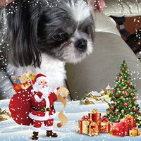 Finice Wood LaPointe's profile image
