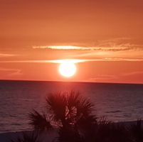 Carol Ann Chichester's profile image