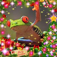 Wendy Poole-klimek's profile image