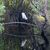Mary Ann Core's profile image