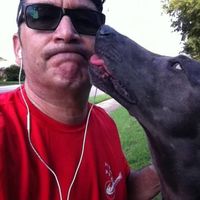 Hal B. Lovett's profile image