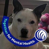 Michael Parsley's profile image