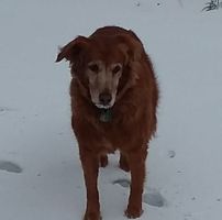 Suzanne Apperson's profile image
