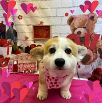 Laura Quintero's profile image