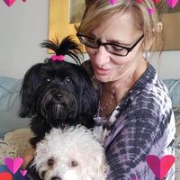 Diane Dachoff's profile image