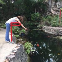 Caron Stonebrook's profile image