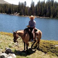 Brian A. Evans's profile image