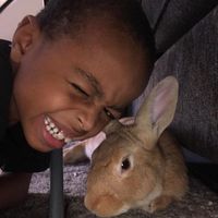 Jamillah Douglas's profile image