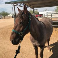 Lori Sanchez's profile image