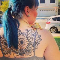 Danielle Hert's profile image