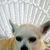 Susan Mazzeo's profile image