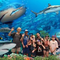 Christine  Harlum's profile image