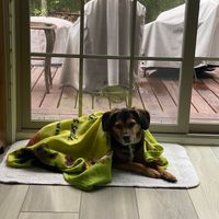 Dick Thompson's profile image