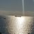 Karen Faller's profile image
