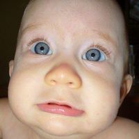 Curtis Belitz's profile image