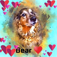 Dawn Middleton's profile image