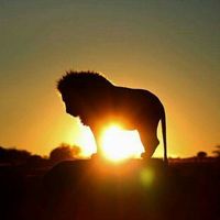 Doreen M Frazier's profile image