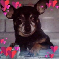 Leisa Rogers's profile image