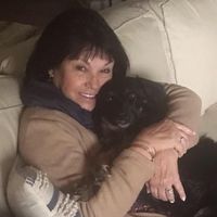 Carol Davis Kiefe's Profile Image