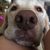 Linda Chociej-Armstrong's profile image