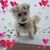 Sharon Hobbs Janidlo's profile image