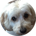Kingston McAllister's Profile Image