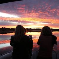 Rachael Coombes's profile image