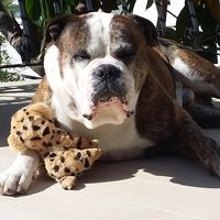 Helena Blue's profile image