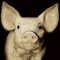 Troy H.'s profile image