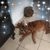 Beverly Stup's profile image