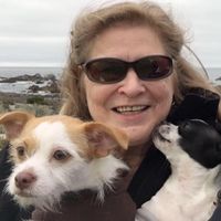 Vicki Ruth Cole-Perrin's profile image