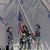 Shannon Mcatee's profile image