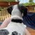Dawn Barnes's profile image