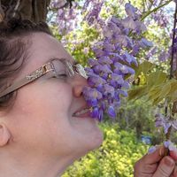 Nikki Rehman's profile image