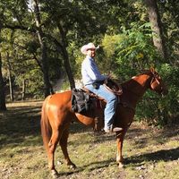 James Lindstrom's profile image