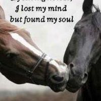 Melinda Johnson's profile image