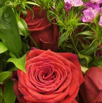 Rae Rachel Downen's profile image