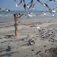 Snoo Ginns's profile image