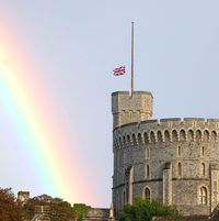 Kay Lynn Griffin's profile image