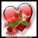 الفراق صعب's profile image