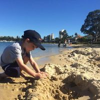 Lauren Simon's profile image