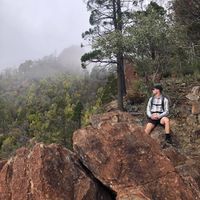 Dom Cumming's profile image